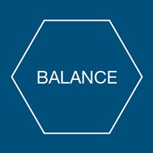 ZEN cash management software Balance