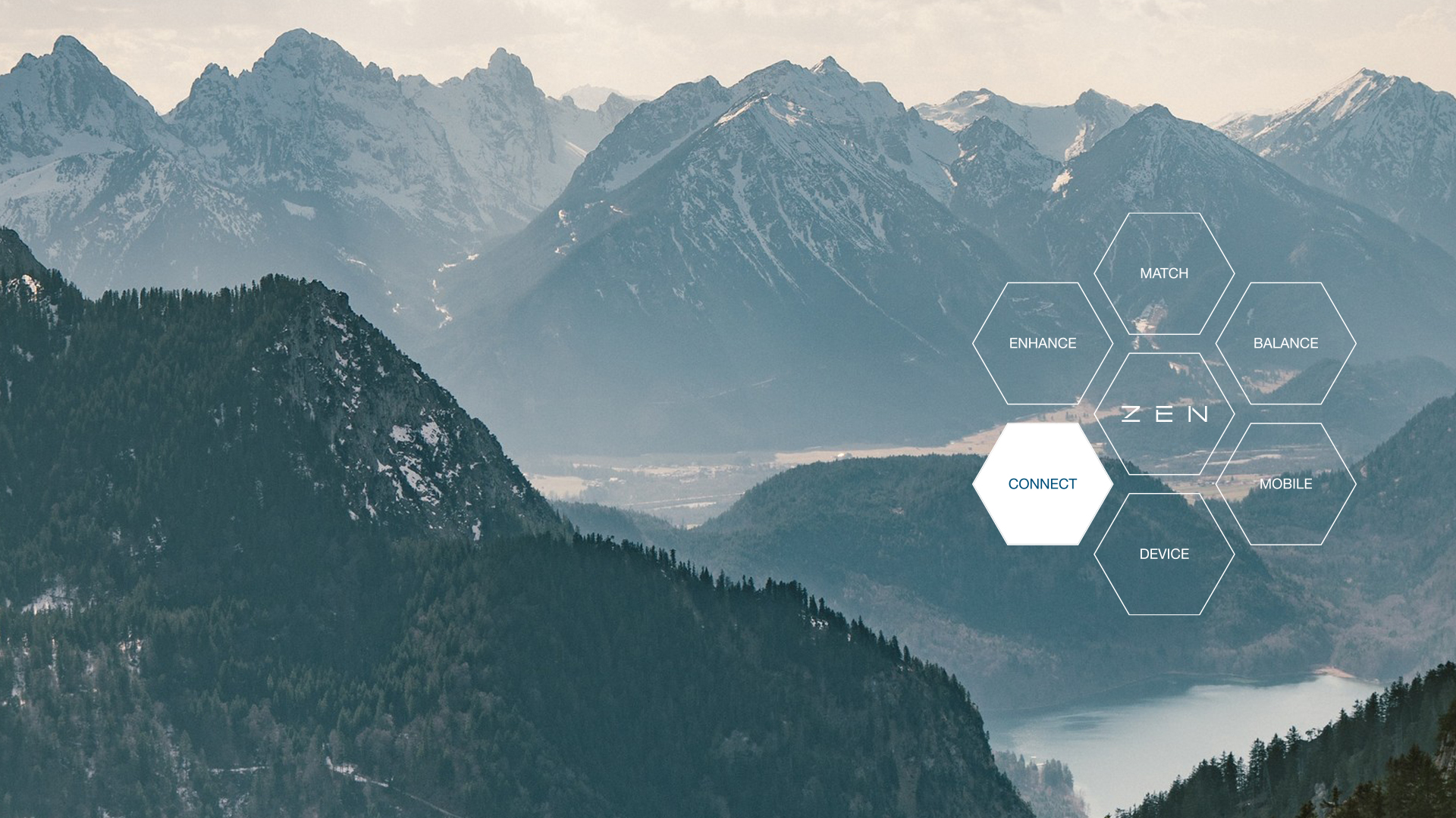 cash management software data sharing